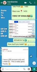 live forex signals