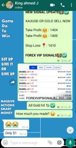 best forex trading signals