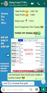 Accurate Forex Signals