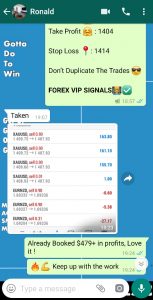 daily forex signals