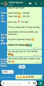 Forex Trading Signals