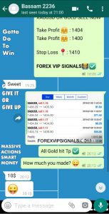 Best Forex Signals