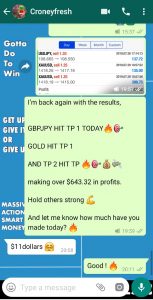 best forex signals with forex vip signals