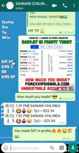 best forex signals by forex vip signals