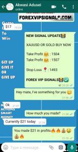 daily forex signals with forex vip signals