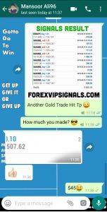 daily signal with forex vip signals