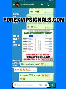 forex market with forex vip signals