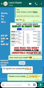 forex market by forex vip signals