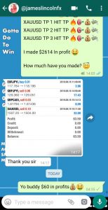 forex profit by forex vip signals