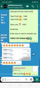 forex signals LONDON by forex vip signals