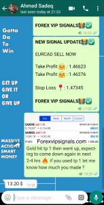 forex trading with forex vip signals