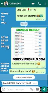 forex trading signals LONDON by forex vip signals