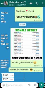 free forex trading signals daily UK by forex vip signals