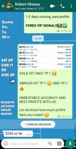 fx trading UK by forex vip signals