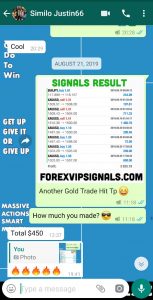 honest forex signals with forex vip signals