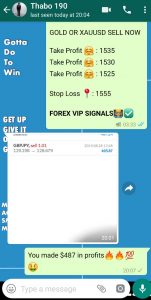 live forex trading free by forex vip signals