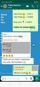 most accurate forex signals UK by forex vip signals