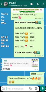 Accurate Forex Signals by forex vip signals