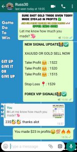 best forex signal provider by forex vip signals