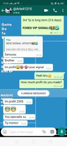 best forex signal provider in the world by forex vip signals