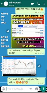 best forex signal provider by forex vip signals