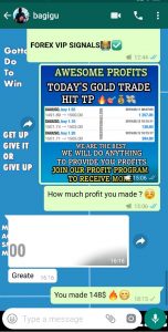 best forex trader in the world UK by forex vip signals