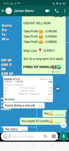 best forex trading signals by forex vip signals