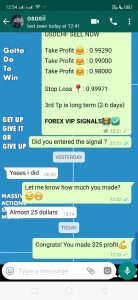 daily forex signals by forex vip signals