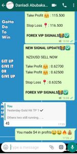 daily forex signals by forex vip signals