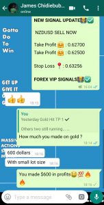 day trading forex live by forex vip signals