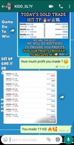 forex live trading signals London by forex vip signals