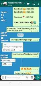 forex signals provider by forex vip signals