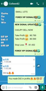free forex trading systems by forex vip signals