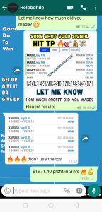 live forex trading by forex vip signals