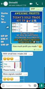 reliable forex signals UK by forex vip signals