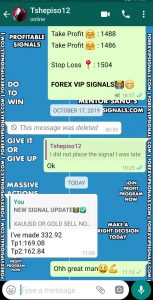 forex signals