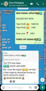 forex signals