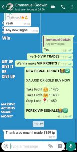 best forex signal provider in the world by forex vip signals