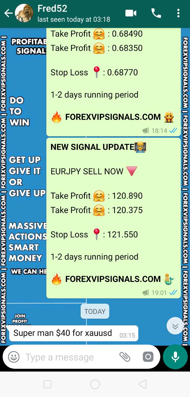 real time forex signals