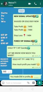 best forex signals UK by forex vip signals