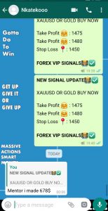 best forex signals provider by forex vip signals