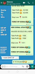 forex signal provider