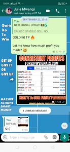 best indicator for forex trading by forex vip signals