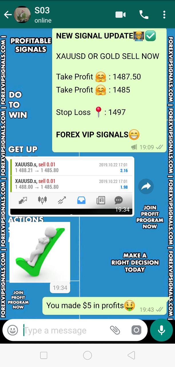 vip forex signals