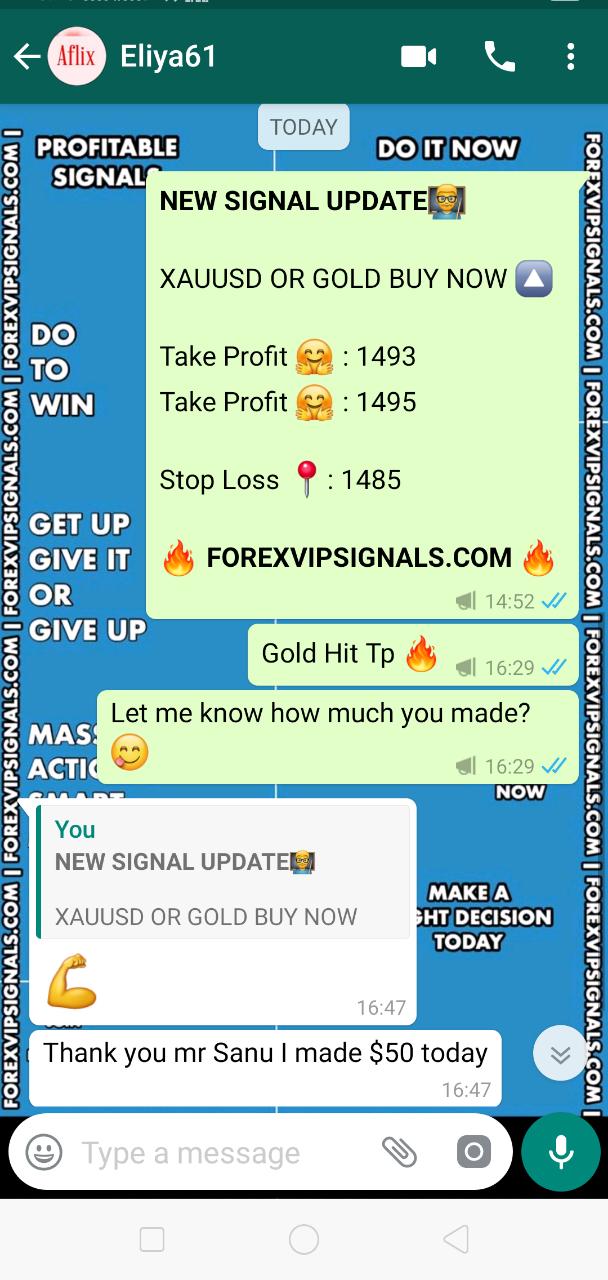 live forex signal