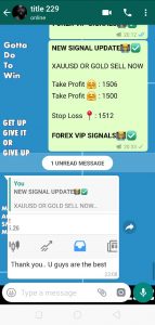 forex signal provider