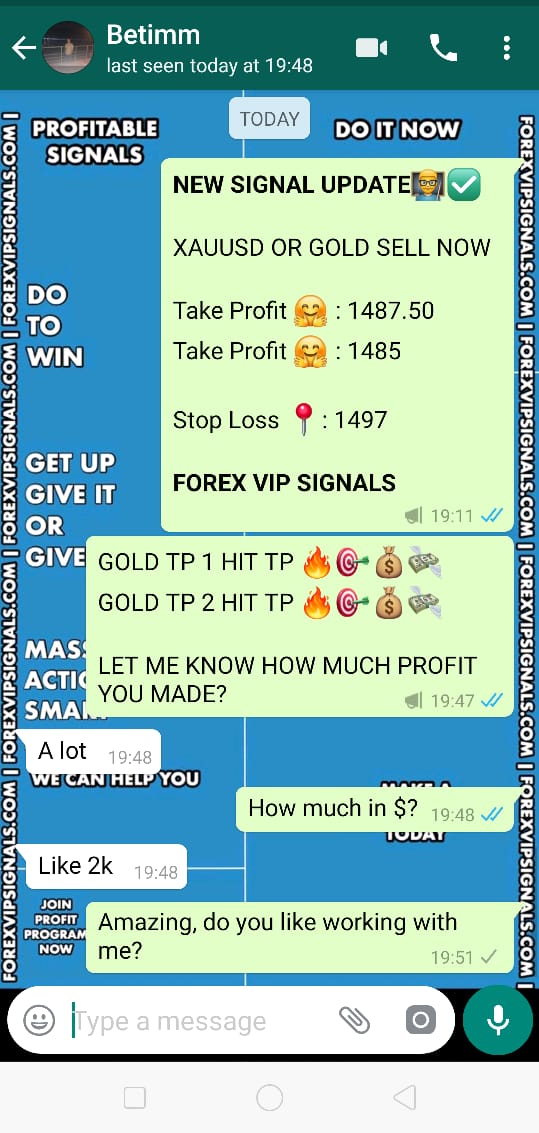 forex vip signals review