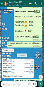 daily forex signals