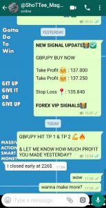 free forex signal