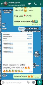 daily forex signals